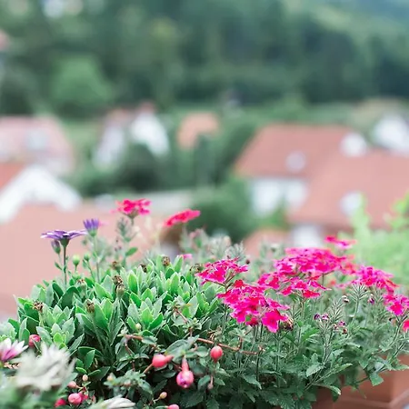 Apartmán Ferienwohnung Spiegelberg *